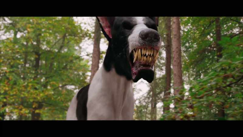 (GROWLING)