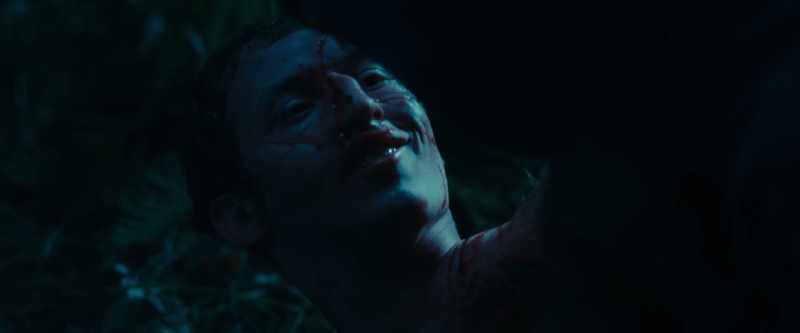 (growls weakly)