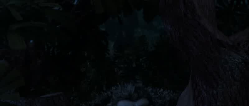 Grug? - Dad! - Dad!