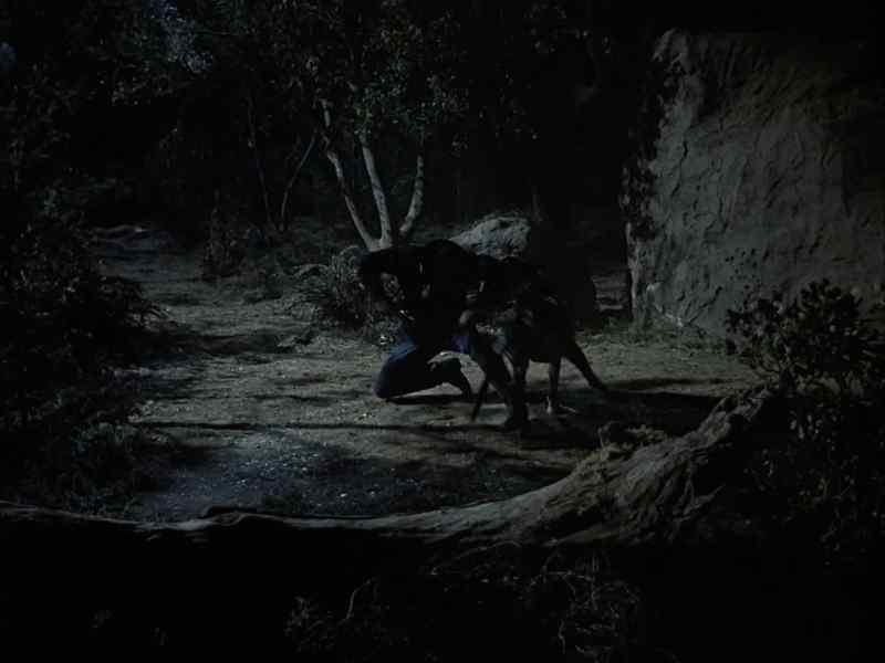 [ Grunting ] Back! Back off!