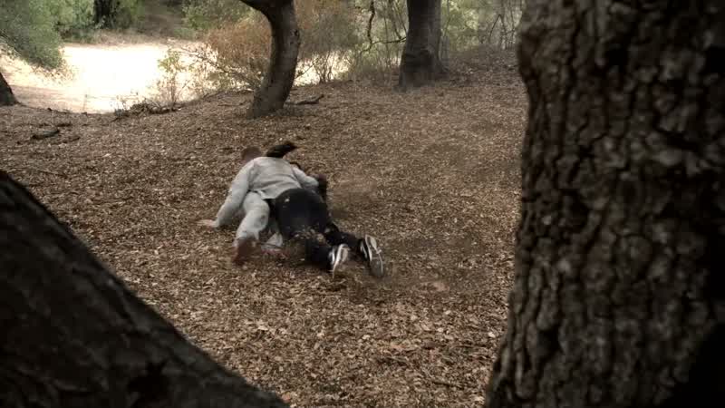 What the hell are you doing?