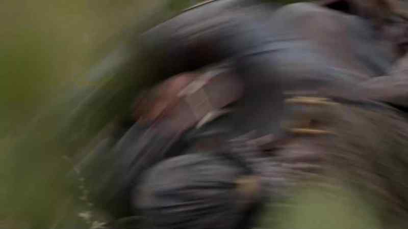 (GRUNTS)