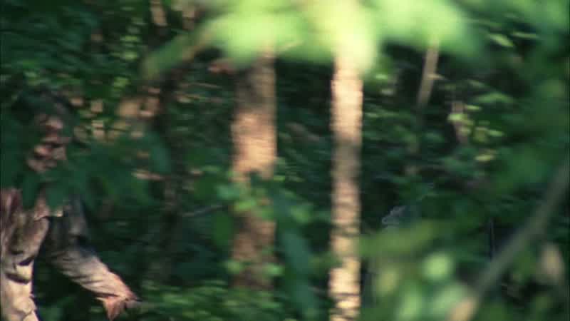 Lori. - There's two walkers are after my baby. - Shh shh