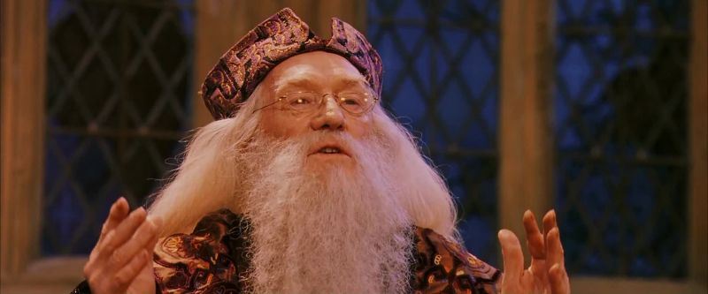 Gryffindor wins the house cup
