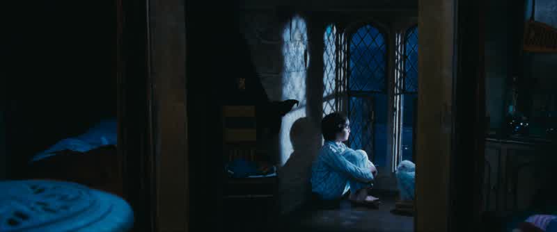 Gryffindors, follow me please