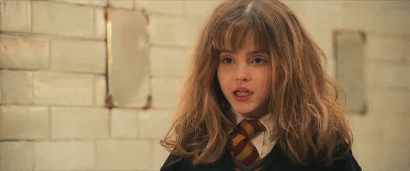 Gryffindors, keep up, please, and stay alert