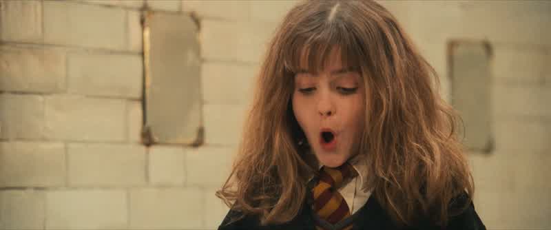 Gryffindors, keep up, please, and stay alert