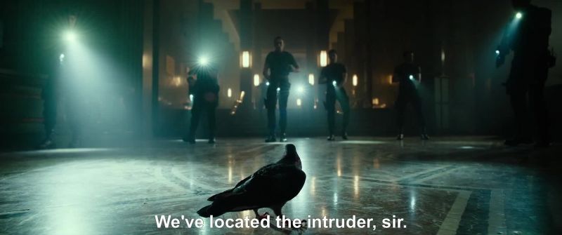 [guard in Spanish]