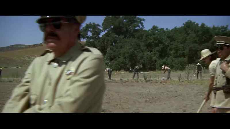 [GUARD SPEAKS SPANISH]
