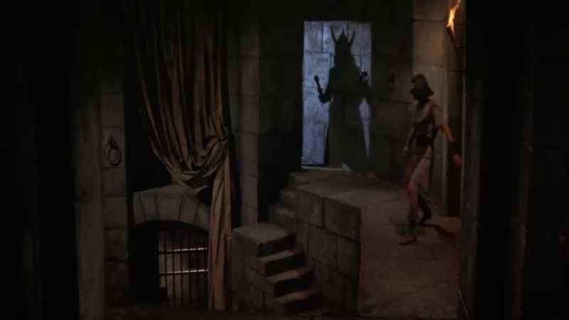 Guard, take your men down that corridor, and I'll take this one
