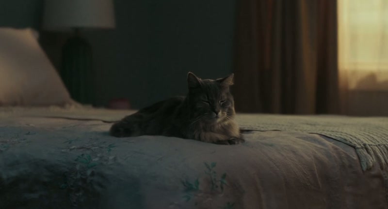 �� Guess I'll wait Til you're home... ♪