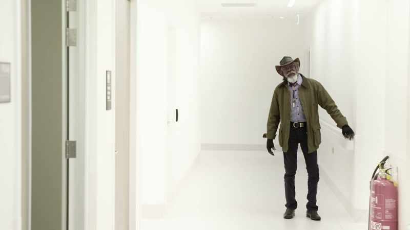 Gulpilil pleaded guilty on all counts