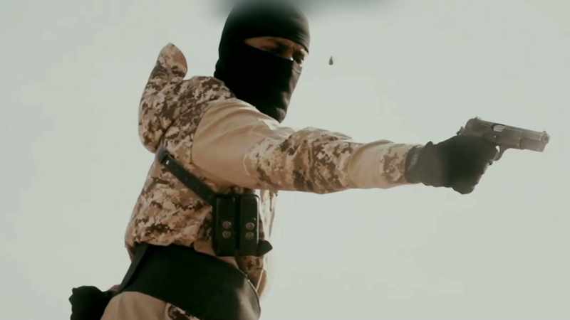 (gun blasts)