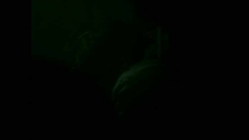 (GUNFIRE AND SCREAMING) Someone started climbing over me