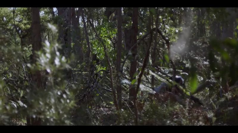 (gunfire in distance) -Oh