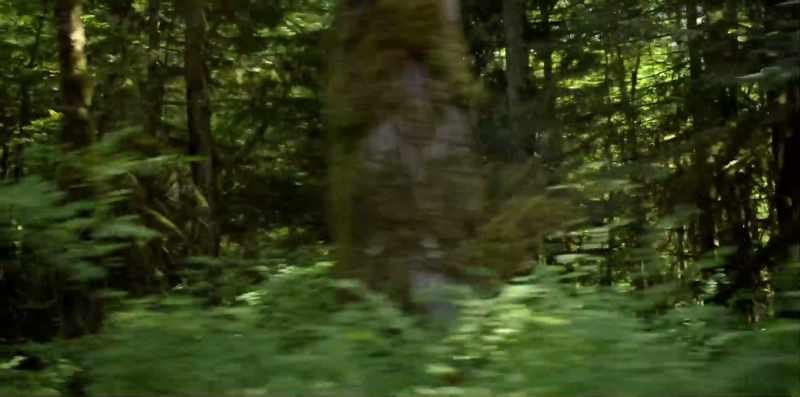 [ Gunfire ]