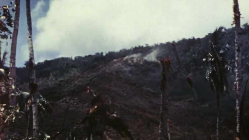 [GUNFIRE]