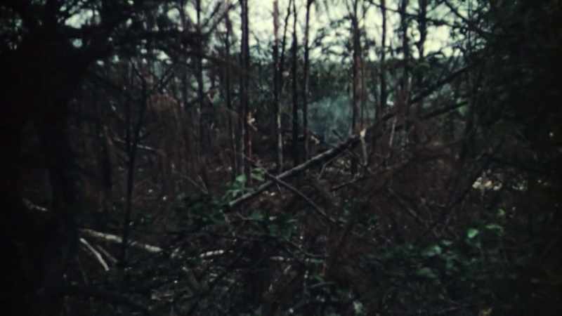 [GUNFIRE]