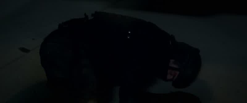 I don't suppose it would be possible to get these chains off of us?