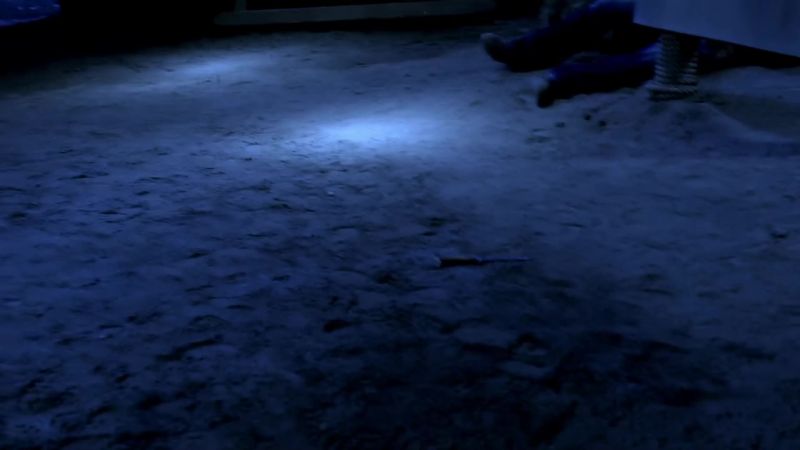 [GUNSHOT AND HELLHOUND HOWLING]