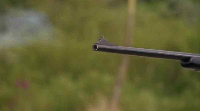 [GUNSHOT]