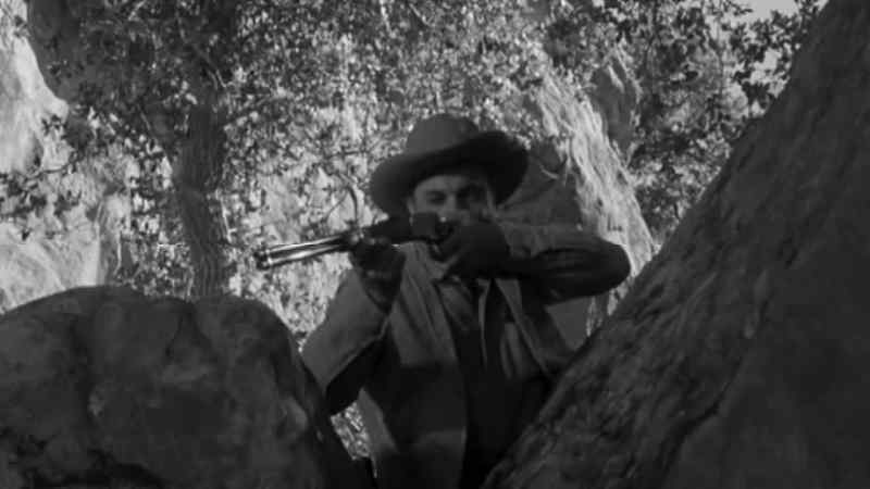 (gunshot)