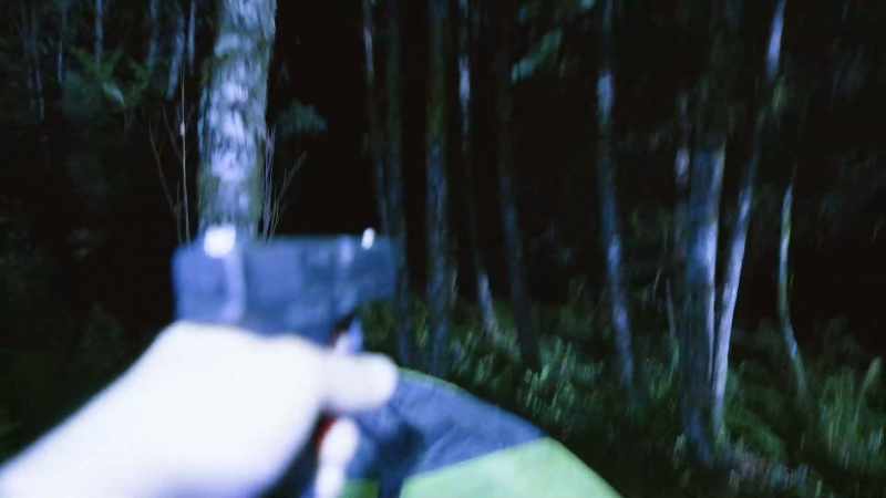 (gunshot)