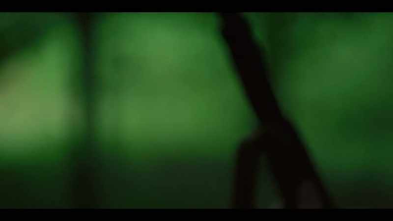 [ Gunshot ]