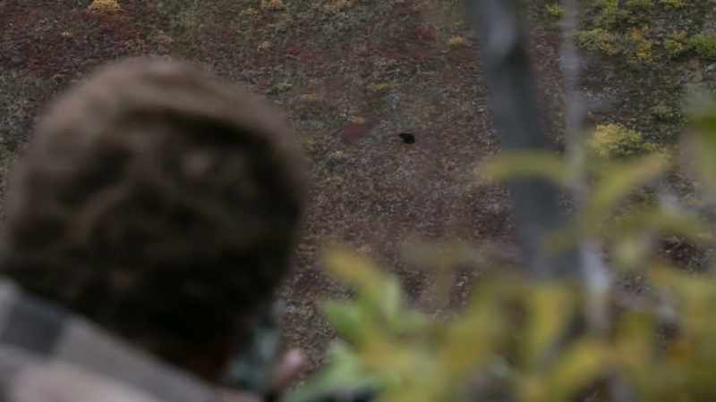 [gunshot]