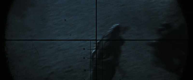 [GUNSHOT]