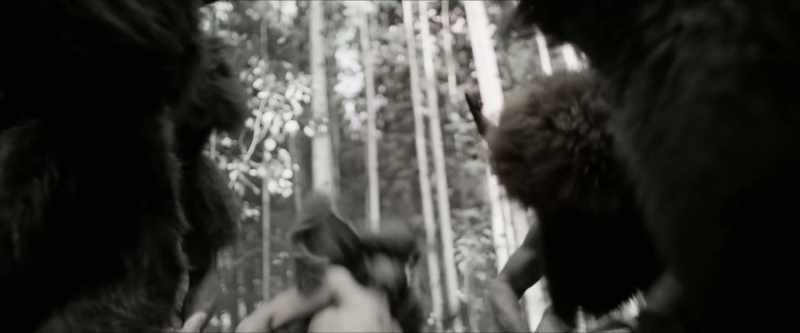 [gunshot]