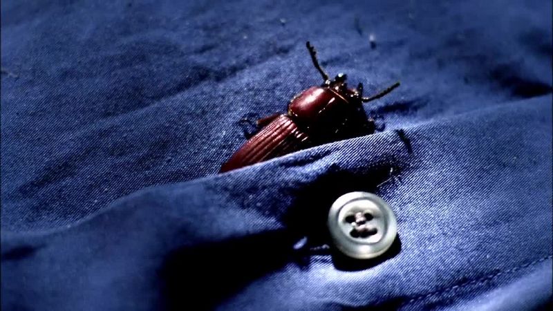 Gunshot wound to the chest