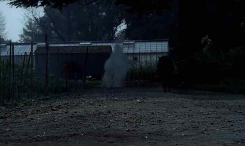 (Gunshots)