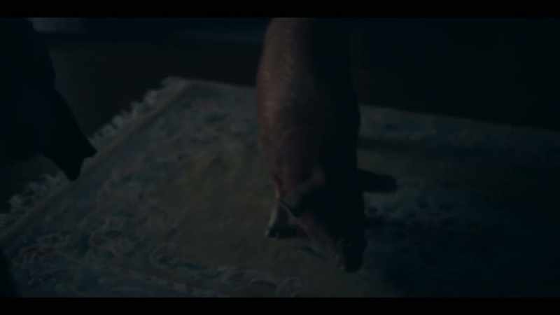 [GUNTHER OINKS]