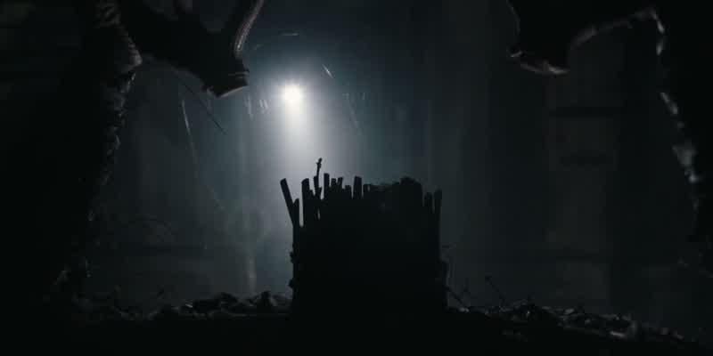 Guys, get the fuck up here right now!