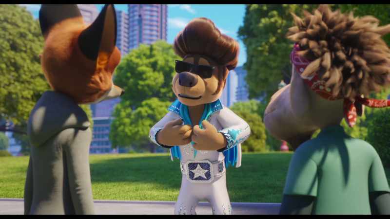 Guys, it's me, Bodi