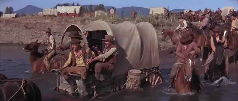Ha, mule! Ha!