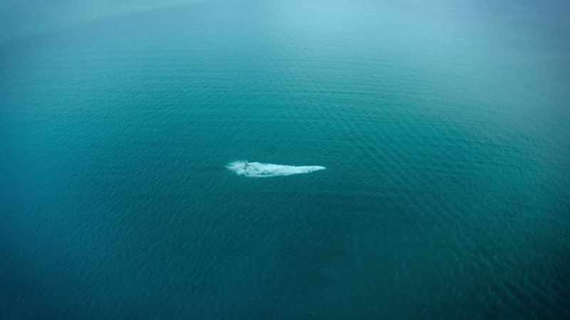 [Habib] Being hit by a Mosasaurus would be