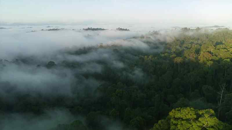 Habitats that depend on fresh water can change rapidly and radically