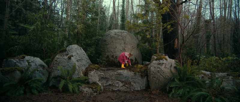 �� Had a dream and it filled me with wonder ♪