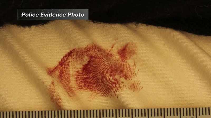 Had we not got the fingerprint back, I don't know
