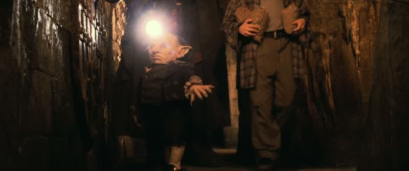 Hagrid, what exactly are these things?