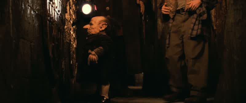 Hagrid, what exactly are these things?
