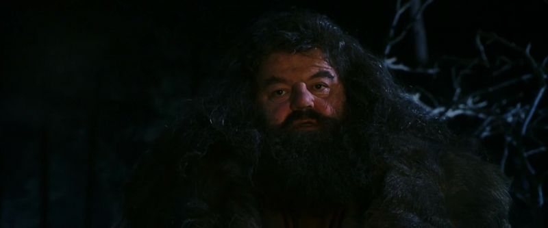 Hagrid, what is that?