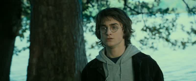 Ronald would like me to tell youthat Seamus told himthat Dean was told by Parvati that Hagrid's looking for youIs that rightWell yWhatUh UmWHISPERS Are you sure you won't do thisWHISPERS Do itHERMIONE