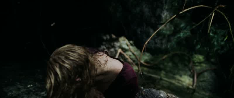 Haley! Answer me! I killed one