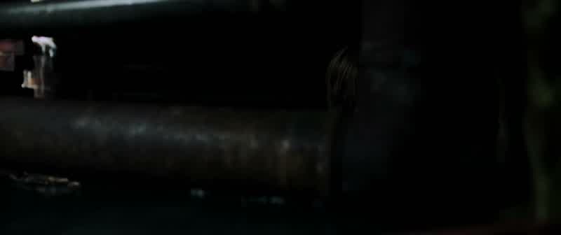 Haley! Wayne? No, Wayne, wait! Stop! Stop! Wait, don't come down! No! Stay there! Hey! Wait! There's