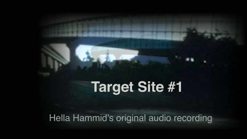 HAMMID: Hal is looking up