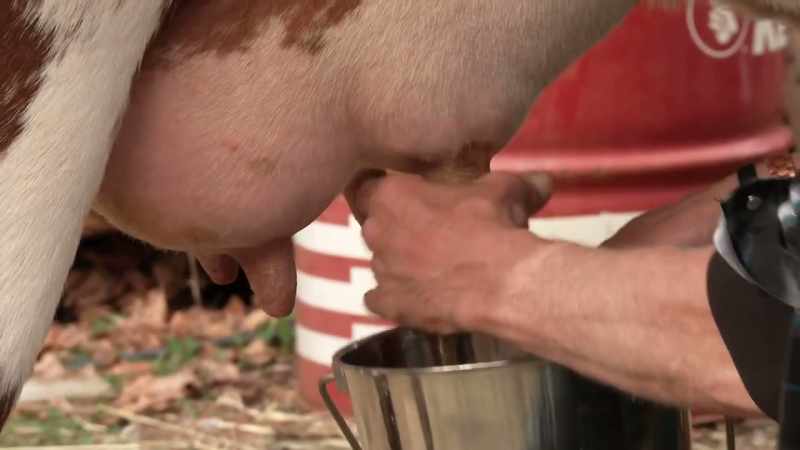 Hand with the cut off finger. It's that hand right there's built