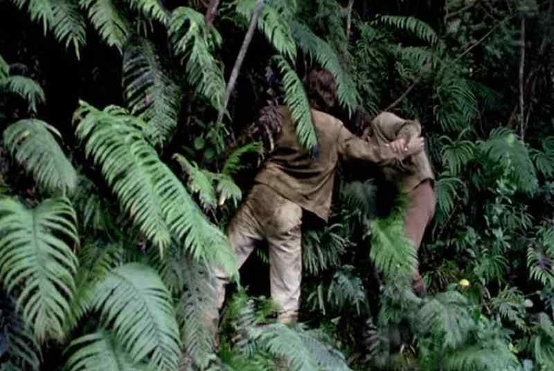 Hang on to me. Hang on to me. - Aagh!